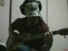 Gitar Hero (58)