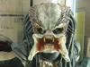 PREDATOR